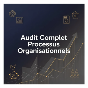 Audit Complet Processus Organisationnels