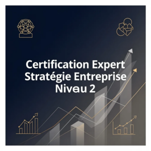 Certification Expert Stratégie Entreprise Niveau 2